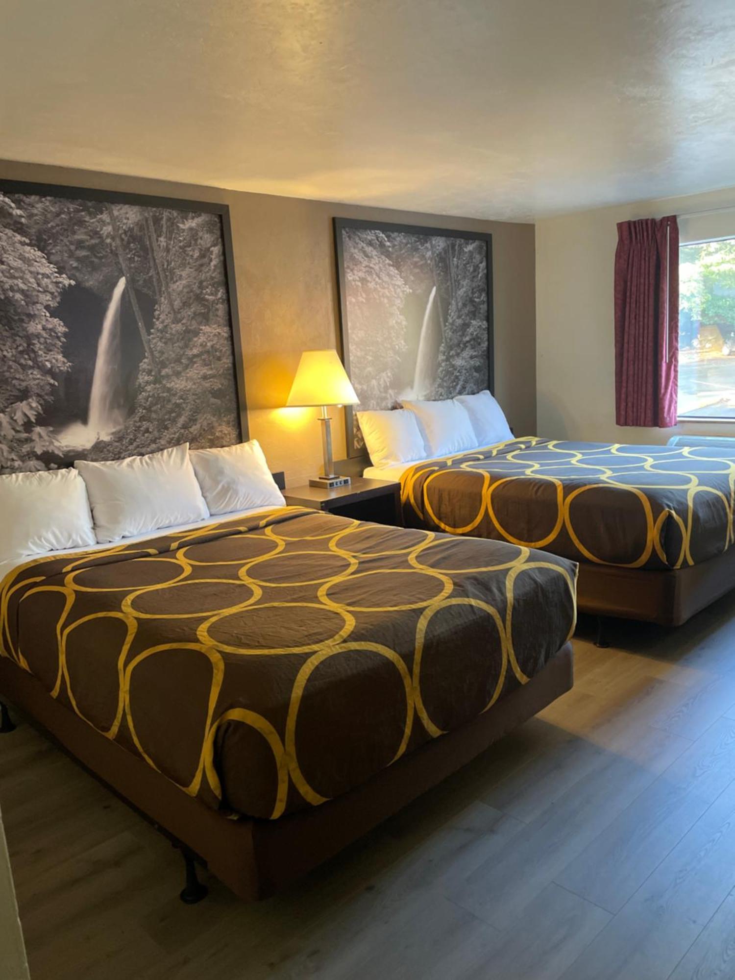 Super 8 By Wyndham Lacey Olympia Area Ngoại thất bức ảnh