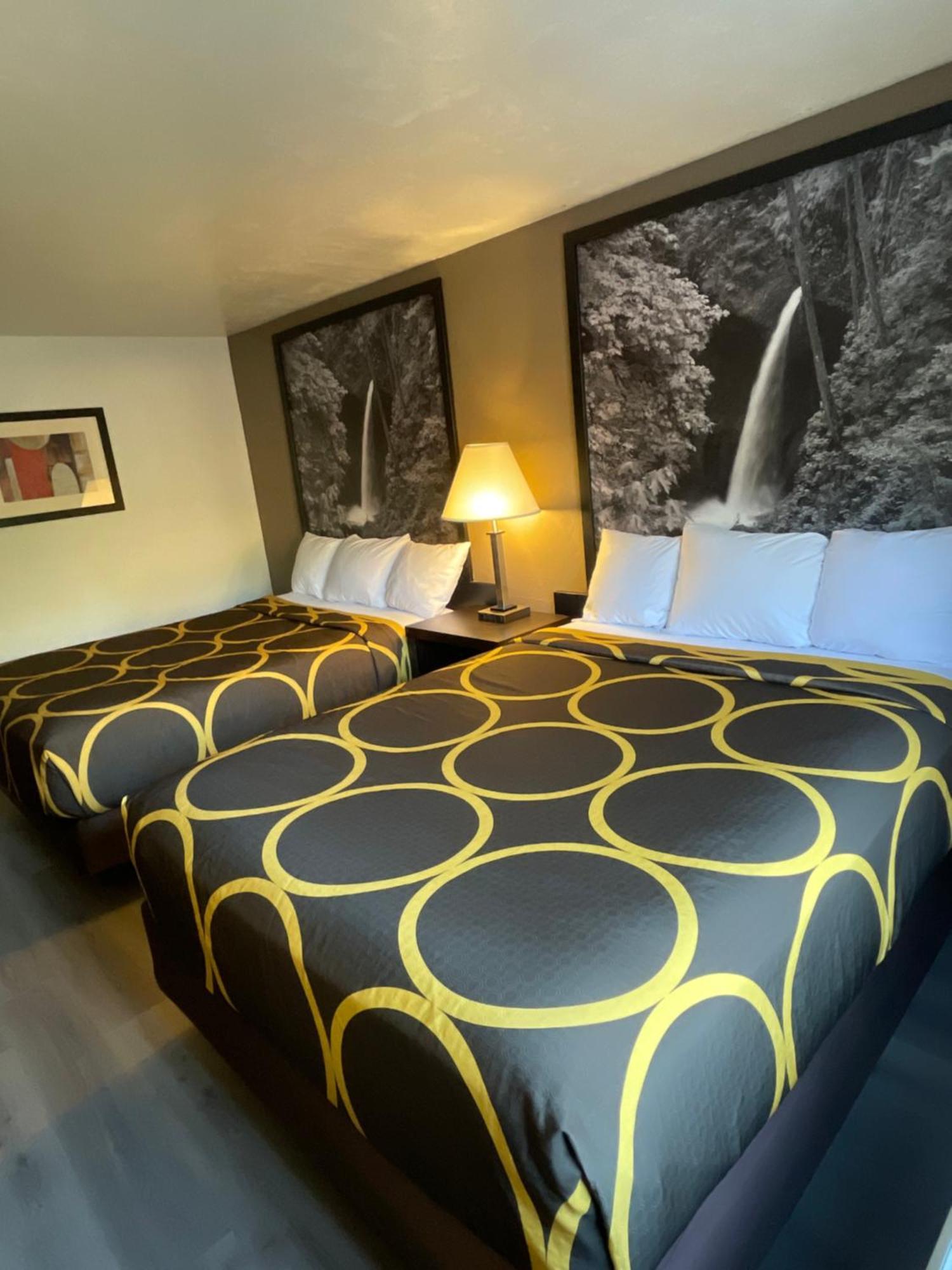 Super 8 By Wyndham Lacey Olympia Area Ngoại thất bức ảnh